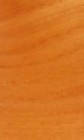 Anigmo Woode switch plate