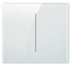 White Glass dual Switch plate (line)