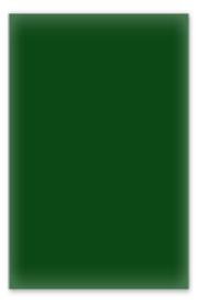 Dark-green plastic Switch plate